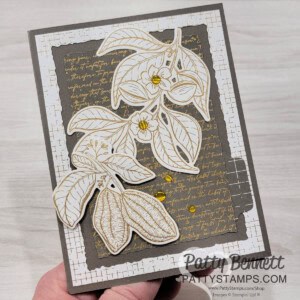 Stampin Up! card idea with Nature's Sweetness designer paper by Patty Bennett
