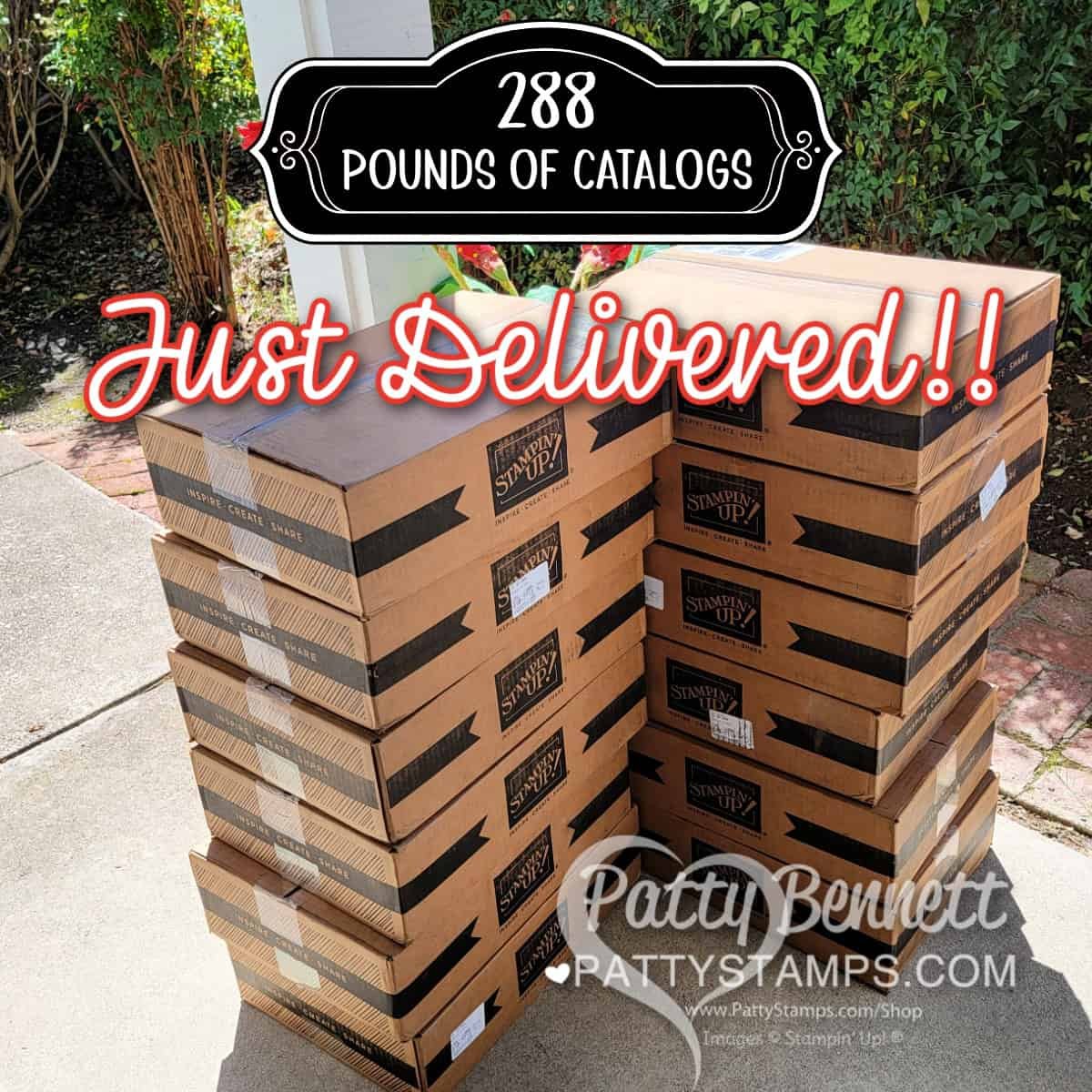  How to get a New 2024 2025 Stampin' Up! Catalog 