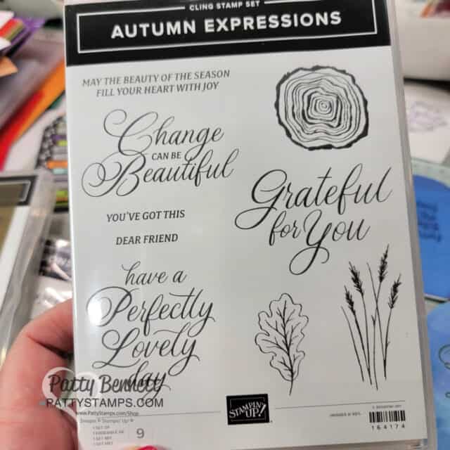 Stampin' Up! Autumn Expressions stamp set for fall or Thanksgiving cards. 