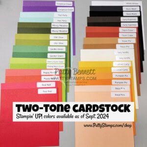 Stampin UP Two Tone cardstock new.