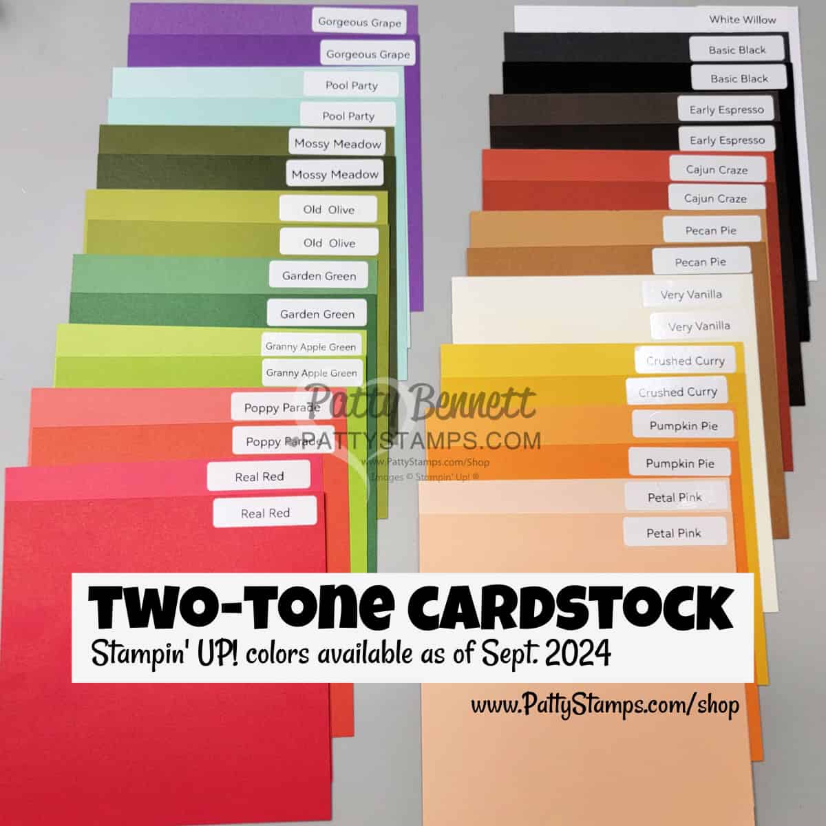 Stampin UP Two Tone cardstock new.