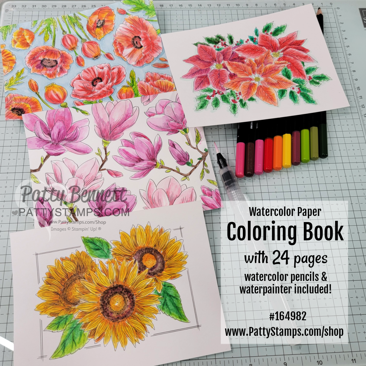 Nature's Paintings Stampin' Up! watercolor kit with pencils and water painter. Samples by Patty Bennett