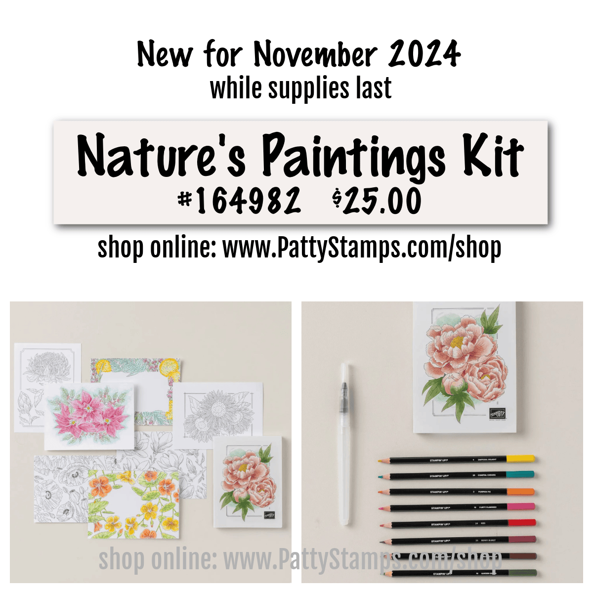 Nature's Paintings Stampin Up! kit November 2024 164982