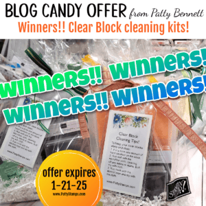 Clear Block Cleaning Kit Blog Candy Winners - January 2025. From Patty Bennett at PattyStamps