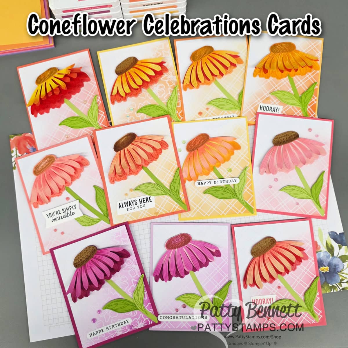 A display of ten handmade celebration cards features colorful coneflower designs in shades of yellow, orange, pink, and purple. Each card has a unique celebratory message and leaf embellishments, arranged neatly on a gray surface with floral accents. To read more, visit Patty Stamps (pattystamps.com)