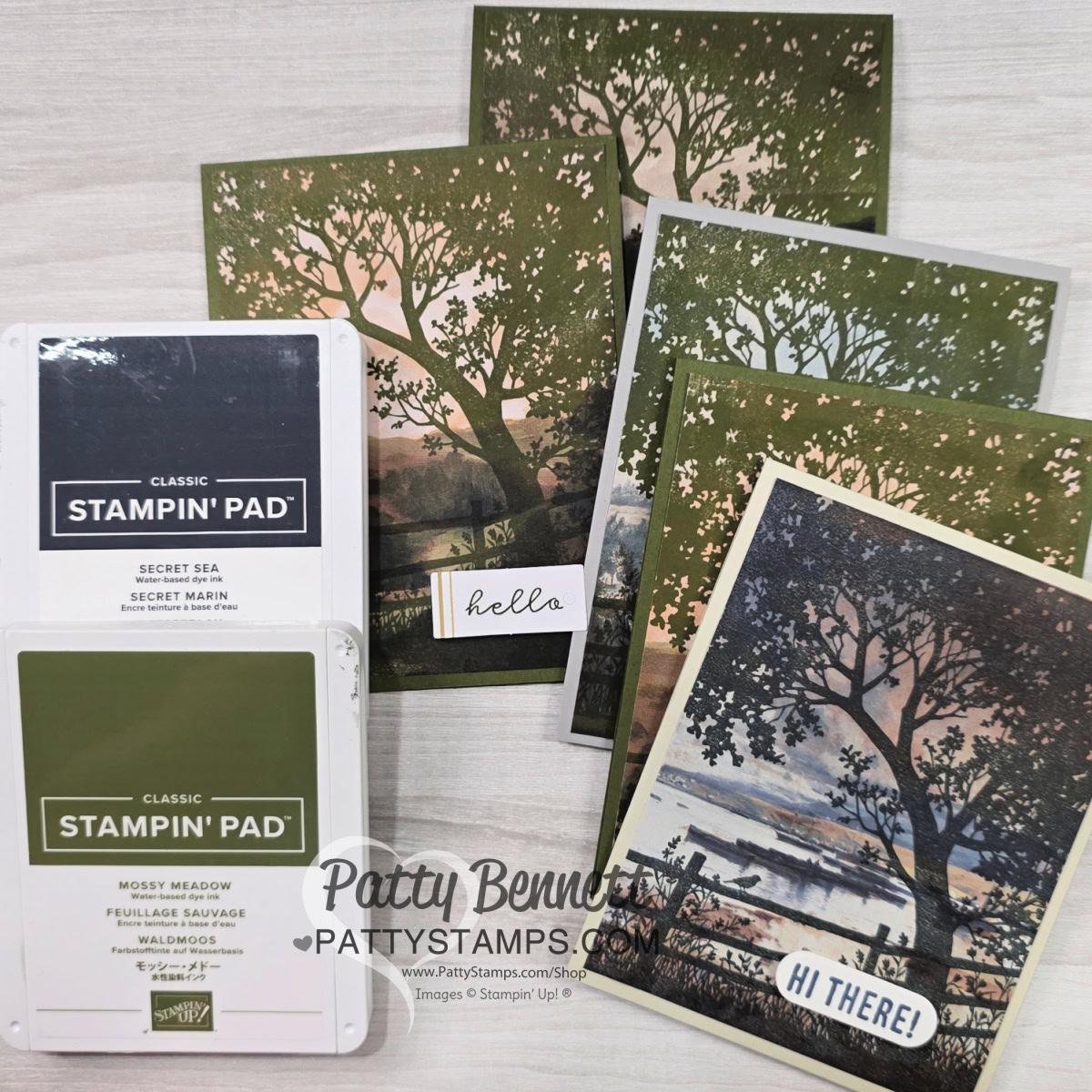 Four handmade greeting cards featuring scenic stamped tree and landscape designs are displayed in a fan shape. Two Stampin’ Up! ink pads in “Secret Sea” and “Mossy Meadow” colors are in the foreground. A small “hello” tag and a “Hi There!” card are also visible. To read more, visit Patty Stamps (pattystamps.com)
