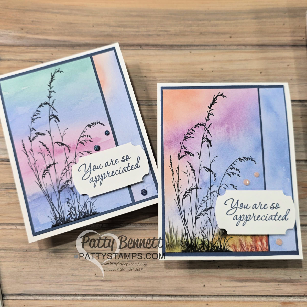 Two handmade greeting cards feature watercolor backgrounds in blue, pink, and purple hues, with black stamped silhouettes of wild grasses. Each card has a white label with the message “You are so appreciated” and a few decorative gem embellishments. To read more, visit Patty Stamps (pattystamps.com)