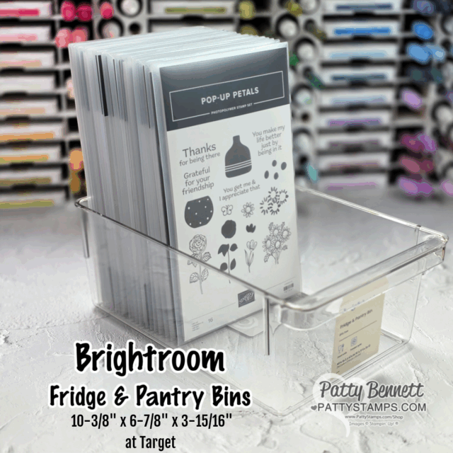 A clear plastic bin labeled “Brightroom Fridge & Pantry Bins” holds neatly organized craft stamp sets in upright sleeves. The bin sits on a white surface with colorful ink pads on a shelf in the blurred background. A card displays the bin’s size and source. To read more, visit Patty Stamps (pattystamps.com)