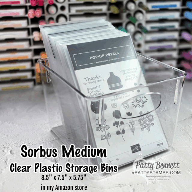 A clear plastic storage bin sits on a table, holding several packages of craft stamps. The background shows organized shelves with colored stamp pads. Text on the image reads: “Sorbus Medium Clear Plastic Storage Bins 8.5'' x 7.5'' x 5.75''. To read more, visit Patty Stamps (pattystamps.com)