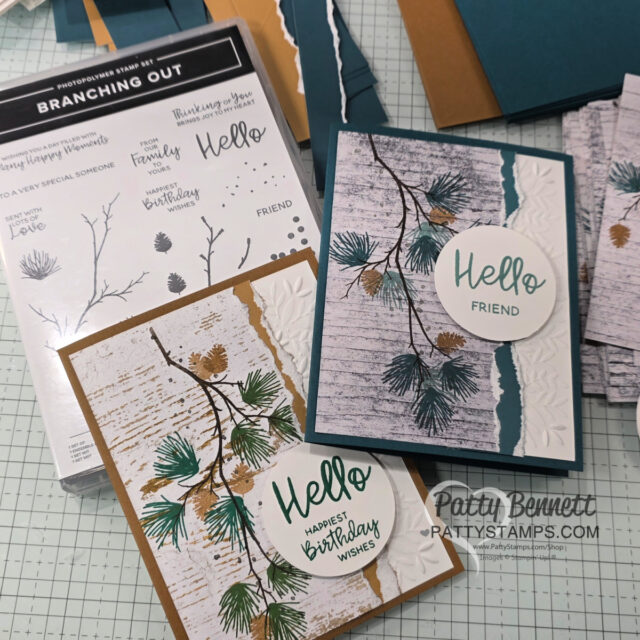 Handmade greeting cards featuring pine branch designs and “Hello” sentiments are displayed with a “Branching Out” stamp set. The cards have white embossed backgrounds, stamped pine needles, textured bark-like panels, and circle greetings. “Patty Bennett” watermark present. To read more, visit Patty Stamps (pattystamps.com)
