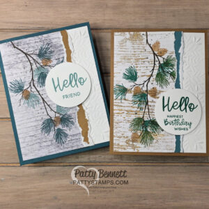 Two handmade greeting cards with pine branch designs are displayed on a wooden surface. Each has a "Hello" message in green script on a white circle. The left card says "Friend" and the right "Happiest Birthday Wishes." Both cards feature textured and layered backgrounds. To read more, visit Patty Stamps (pattystamps.com)