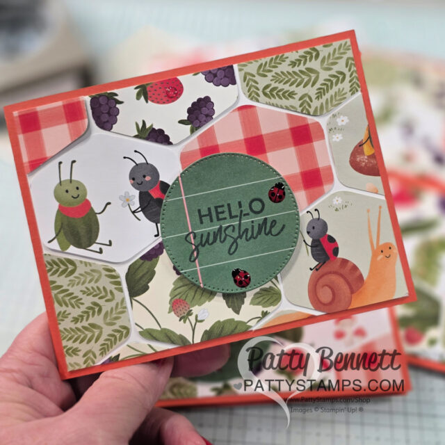 A hand holds a cheerful handmade greeting card decorated with colorful bugs, a snail, leaves, strawberries, and red gingham patterns. The card features a green circle in the center with the text “HELLO sunshine” and two small ladybug images. To read more, visit Patty Stamps (pattystamps.com)