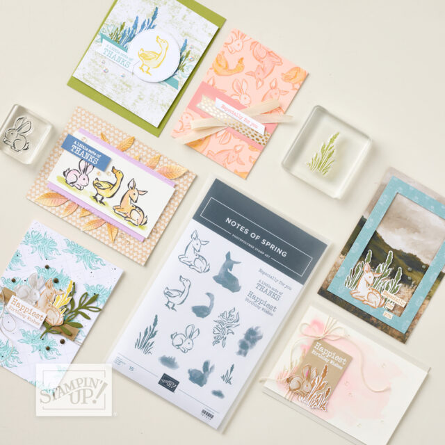A flat lay displays spring-themed handmade cards, each decorated with stamped images of ducks, bunny rabbits, and foliage. Central is a “Notes of Spring” stamp set with coordinating dies. A clear acrylic stamping block and intricate card layers are also visible. To read more, visit Patty Stamps (pattystamps.com)