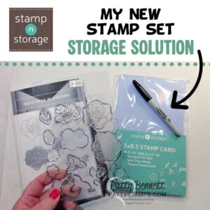 A hand holds two clear stamp storage sets: one with flower stamps and the other labeled “5x8.5 Stamp Card” by Stamp-n-Storage, designed for stamp organization. A black Sharpie marker and the text “My New Stamp Set Storage Solution” appear above. To read more, visit Patty Stamps (pattystamps.com)